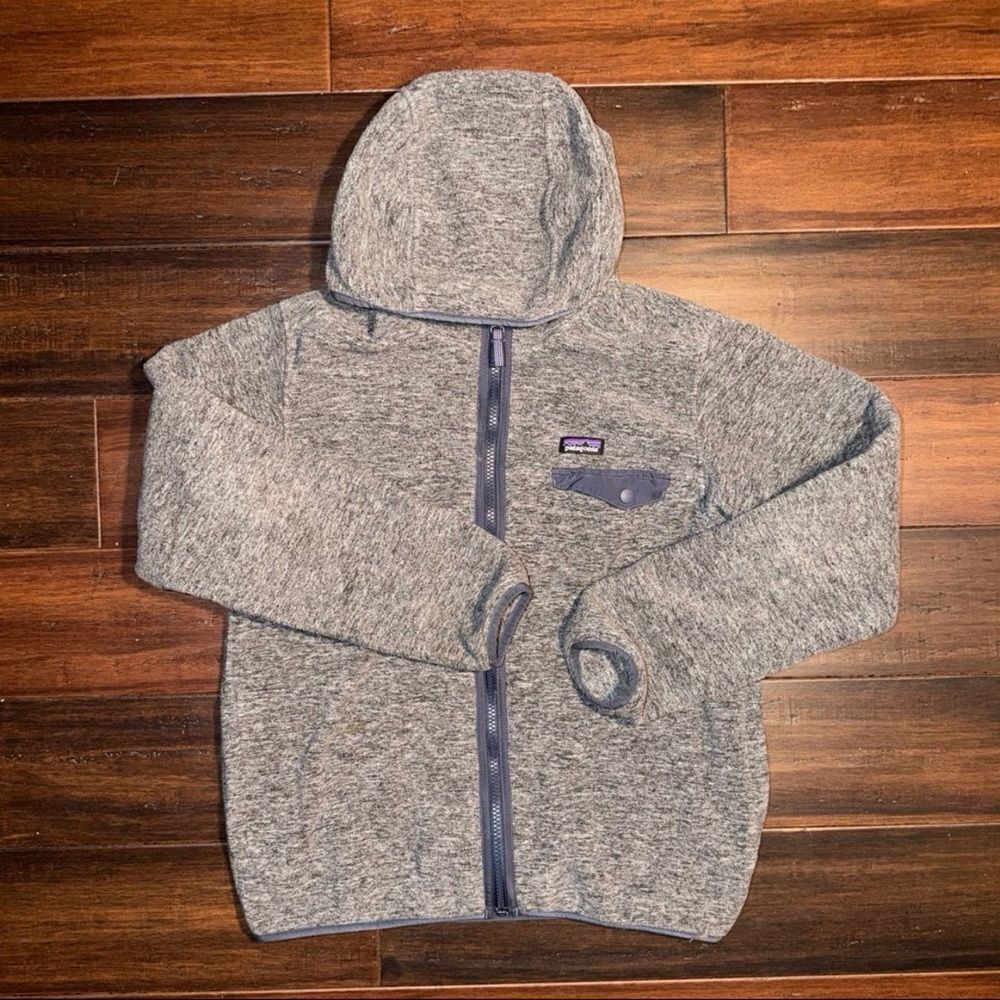 Patagonia Kids Heathered Gray Hoodie